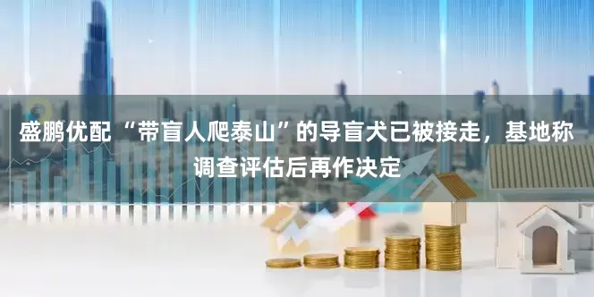 盛鹏优配 “带盲人爬泰山”的导盲犬已被接走，基地称调查评估后再作决定